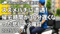 🚚Amazon Hub配達日記｜スズメバチに遭遇！帰宅時間が30分遅くなった悲しい火曜日【2025/10/21】