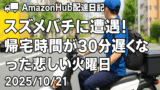 🚚Amazon Hub配達日記｜スズメバチに遭遇！帰宅時間が30分遅くなった悲しい火曜日【2025/10/21】